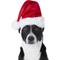 Show in main carousel: Frisco Christmas Dog & Cat Santa Hat, 1 count, X-Small/Small slide 3 of 8