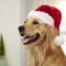 Show in main carousel: Frisco Christmas Dog & Cat Santa Hat, 1 count, X-Small/Small slide 5 of 8