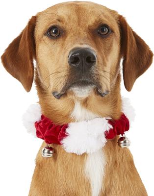 Show full view: Frisco Holiday Dog & Cat Santa Hat + Jingle Bells Dog & Cat Holiday Collar with Bells, X-Small/Small slide 8 of 9