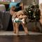 Show in main carousel: Frisco Holiday Fa La La Llama Plush Squeaky Dog Toy, Medium slide 4 of 8