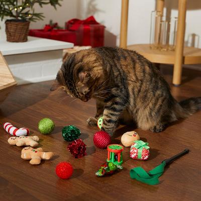 Show full view: Frisco Holiday Festive Red Variety Pack Gift Box + Holiday Mice Cat Toy with Catnip, 5 count slide 4 of 7