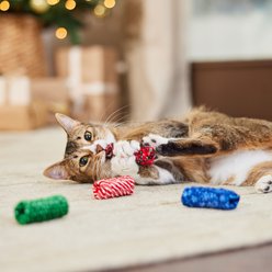 Frisco Holiday Festive Swatting Spirals Cat Toy, Mistletoe & Snowflakes, 4 count slide 2 of 4