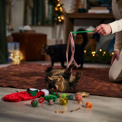 Show full view: Frisco Holiday Gift Sack Variety Pack Cat Toy with Catnip, 14 count slide 5 of 8
