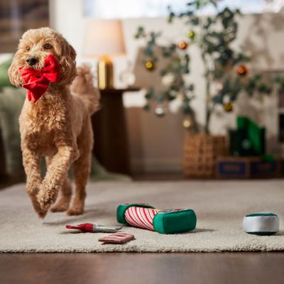 Show full view: Frisco Holiday Gift Wrapping Set Plush Squeaky Dog Toy, Small/Medium, 5 count slide 3 of 7