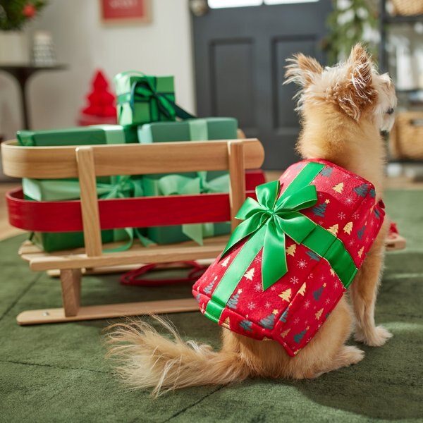 Frisco Holiday Giftbox Dog & Cat Costume