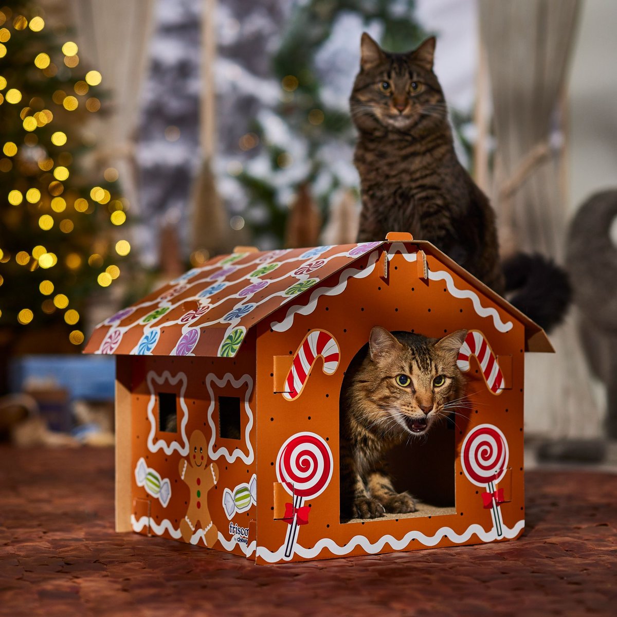Frisco Holiday Gingerbread Cardboard Cat House