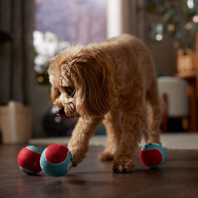 Show full view: Frisco Holiday Ho Ho Ho Fetch Tennis Ball, Medium, 3 count + Holiday Arctic Friends Stuffing-Free Skinny Plush Squeaky Dog Toy, Small to Large, 3 count slide 5 of 9