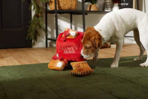 Show full view: Frisco Holiday House + Holiday North Pole Mailbox Hide & Seek Puzzle Plush Squeaky Dog Toy, Medium slide 7 of 7