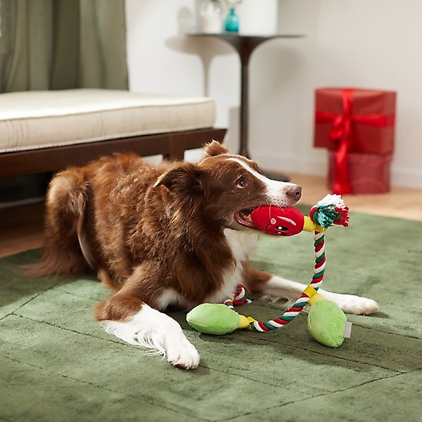 Show full view: Frisco Holiday Lights Plush with Rope Squeaky Dog Toy, Medium/Large slide 3 of 6