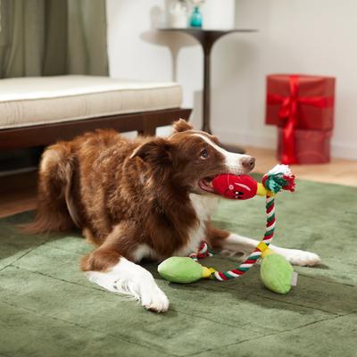 Show full view: Frisco Holiday Lights Plush with Rope Squeaky Dog Toy, Medium/Large slide 4 of 8