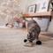 Show in main carousel: Frisco Holiday Lumps of Coal Plush Cat Toy with Catnip, 3 count slide 3 of 6