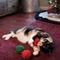 Show in main carousel: Frisco Holiday Moppy Ball Cat Toy with Catnip, 3 count slide 3 of 7