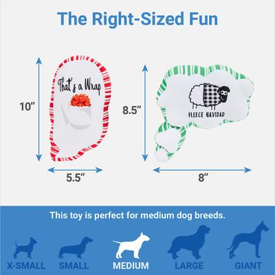 Show full view: Frisco Holiday Naughty Message Bubble Plush Squeaky Dog Toy, 2 count slide 2 of 6