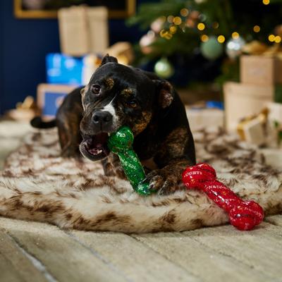 Show full view: Frisco Holiday Naughty & Nice TPR Bone Squeaky Dog Toy, Medium/Large, 2 count slide 3 of 7