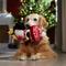Show in main carousel: Frisco Holiday Penguin Plush Squeaky Dog Toy, Medium/Large slide 3 of 7