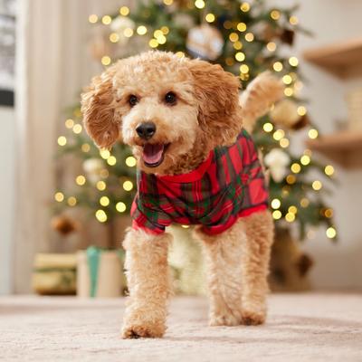 Frisco Holiday Plaid Dog & Cat Jersey PJs