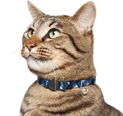 Show full view: Frisco Holiday Plaid Print Polyester Breakaway Cat Collar with Bell, Blue, 8 to 12-in neck, 3/8-in wide slide 3 of 8