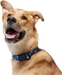 Frisco Holiday Plaid Print Polyester Dog Collar, Blue, Large/X-Large slide 2 of 8