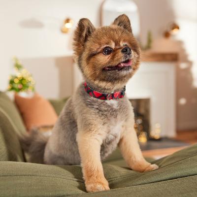 Show full view: Frisco Holiday Plaid Print Polyester Dog Collar, Red, X-Small slide 6 of 10