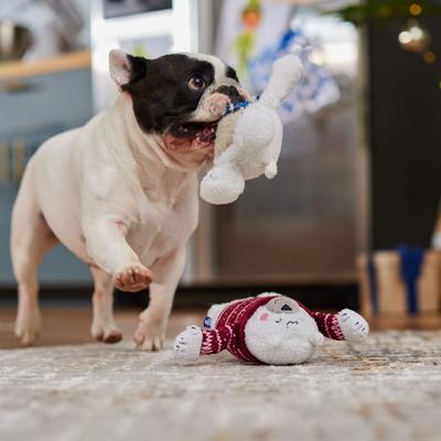 Show full view: Frisco Holiday Polar Bear Friends Plush Squeaky Dog Toy, Small/Medium, 2 count slide 3 of 7