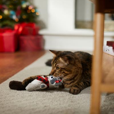 Show full view: Frisco Holiday Raccoon Kicker Plush Cat Toy with Catnip slide 3 of 6