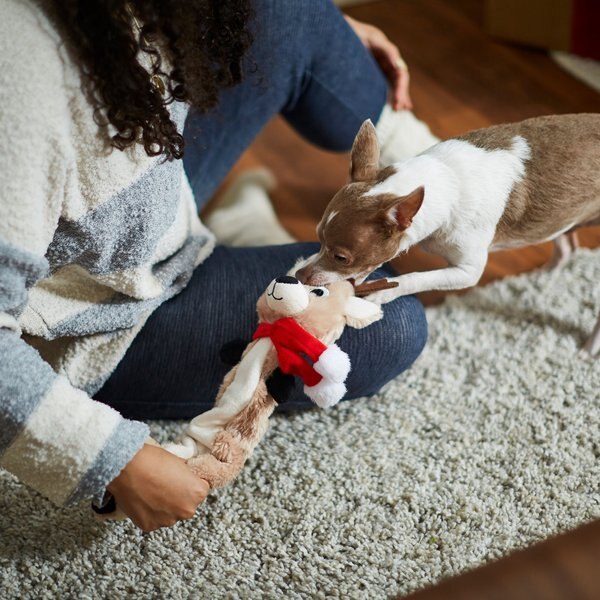 Frisco Holiday Reindeer Bungee Plush Squeaky Dog Toy