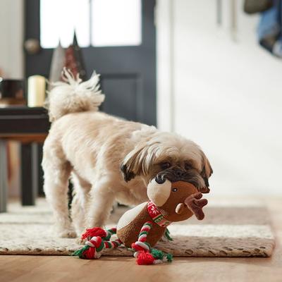 Show full view: Frisco Holiday Reindeer + Holiday Lights Plush with Rope Squeaky Dog Toy, Medium/Large slide 5 of 8