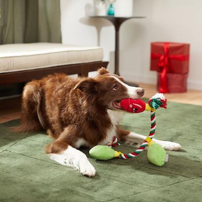 Show full view: Frisco Holiday Reindeer + Holiday Lights Plush with Rope Squeaky Dog Toy, Medium/Large slide 8 of 8