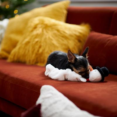 Show full view: Frisco Holiday Snowman Bungee Plush Squeaky Dog Toy, Small/Medium slide 5 of 9
