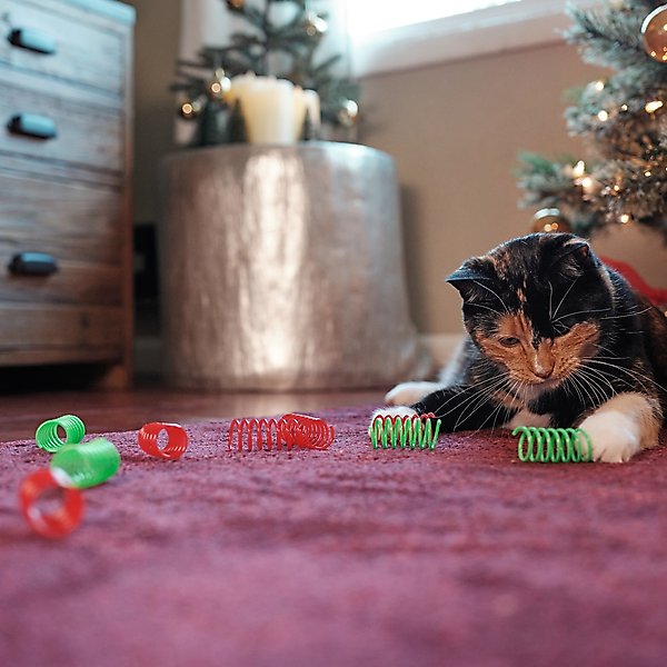 Show full view: Frisco Holiday Springs Cat Toy, 10 count slide 3 of 6