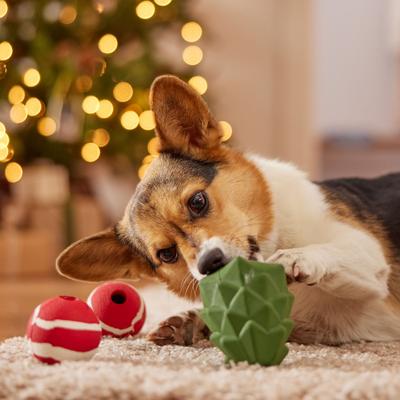 Show full view: Frisco Holiday Tree & Balls Rubber Dog Toy, Medium, 3 count slide 4 of 8