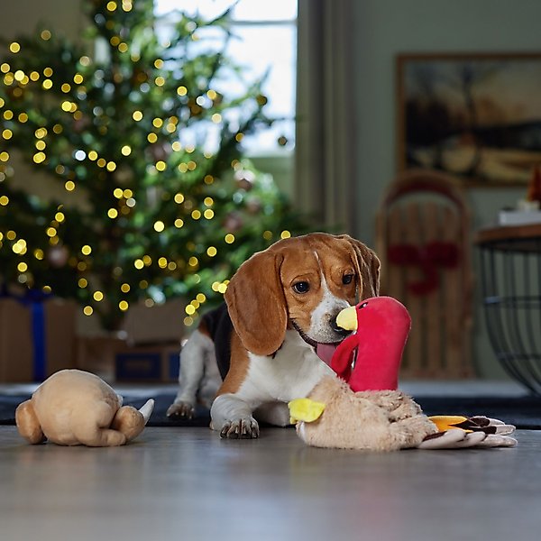 Show full view: Frisco Holiday Turkey 2-in-1 Plush Squeaky Dog Toy, Medium/Large slide 4 of 8