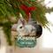 Show in main carousel: Frisco Christmas Holly Leaves Paw Shape Metal Personalized Dog & Cat Holiday Ornament slide 3 of 5