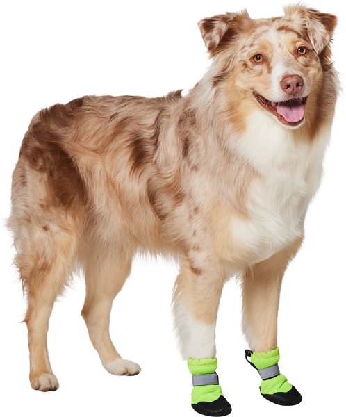 FRISCO Hot Pavement Dog Boot, Green, Large, count