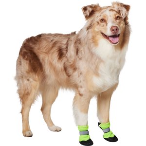 BARK Dog Crocs