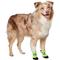 Show in main carousel: Frisco Hot Pavement Dog Boot, Green, Large, 2 count slide 1 of 10