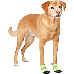 Frisco Hot Pavement Dog Boot, Green, Small, 2 count