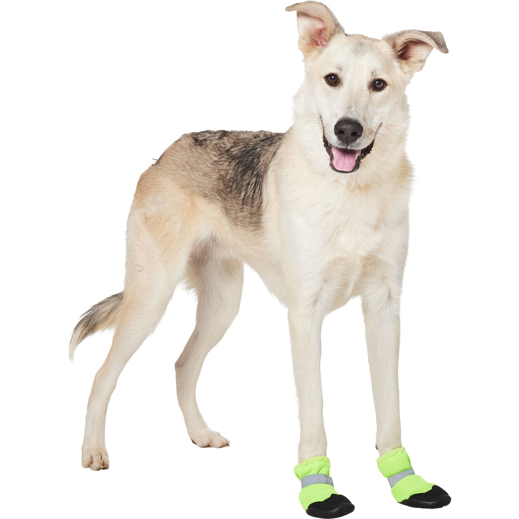 Frisco Hot Pavement Dog Boot, Green, XX-Large, 2 count