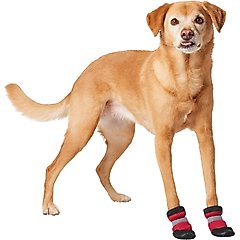 Frisco Hot Pavement Dog Boot, Red, Small, 2 count