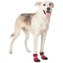 Frisco Hot Pavement Dog Boot, Red, XX-Large, 2 count