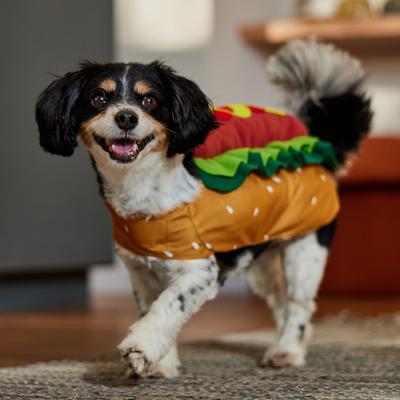 Show full view: Frisco Hotdog Dog & Cat Costume, Medium slide 6 of 8