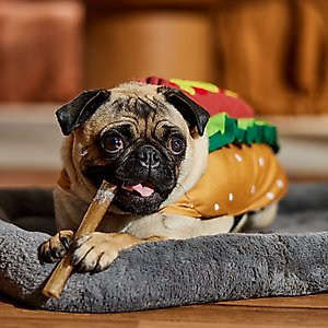 Frisco Hotdog Dog & Cat Costume, Small