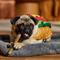 Show in main carousel: Frisco Hotdog Dog & Cat Costume, Small slide 6 of 8
