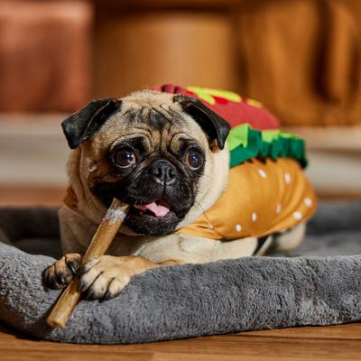 Show full view: Frisco Hotdog Dog & Cat Costume, Small slide 6 of 8