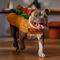 Show in main carousel: Frisco Hotdog Dog & Cat Costume, X-Large slide 5 of 7
