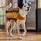 Show in main carousel: Frisco Hotdog Dog & Cat Costume, XX-Large slide 5 of 7