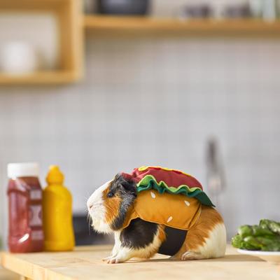 Show full view: Frisco Hotdog Guinea Pig Costume, One Size, Multi Color slide 5 of 7