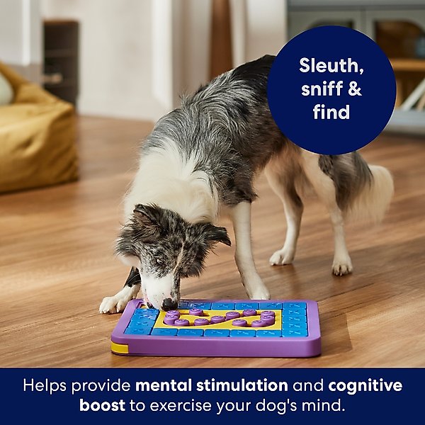 Show full view: Frisco Hourglass Interactive Puzzle Dog Toy, Level 6 slide 6 of 10