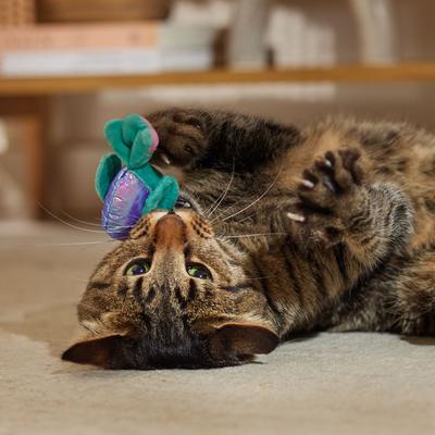 Show full view: Frisco Hummingbird Chirping Sound Electronic Plush Cat Toy with Catnip slide 5 of 8