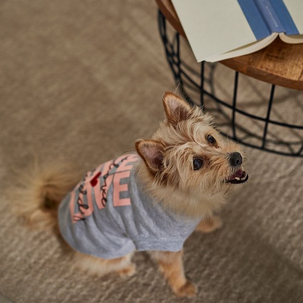 Frisco Love is Love Heart Dog & Cat Bandana